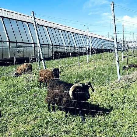 Lakefront View Entire With 2 Bedrooms, 2 Full Bathrooms & Balcony Waterview * Reichenau